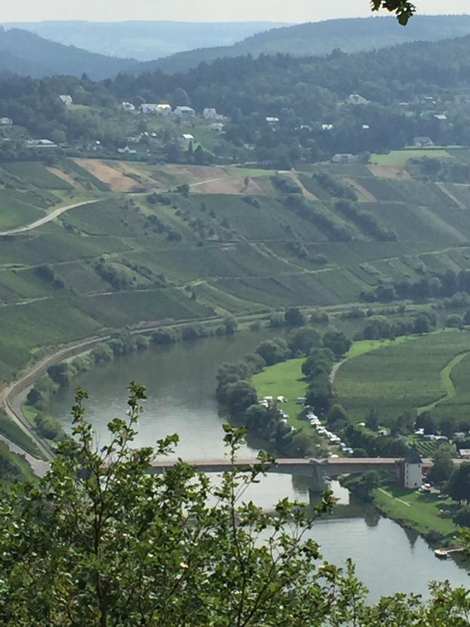 Weingut & Gaestehaus Edwin Hoffmann Apartment Trittenheim Exterior foto